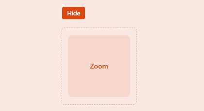 Zoom preview